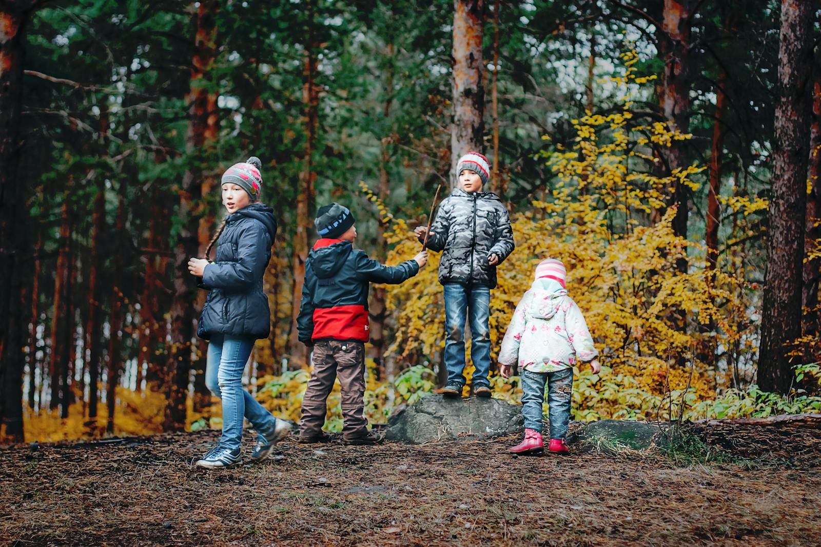 Children playing outdoors in autumn